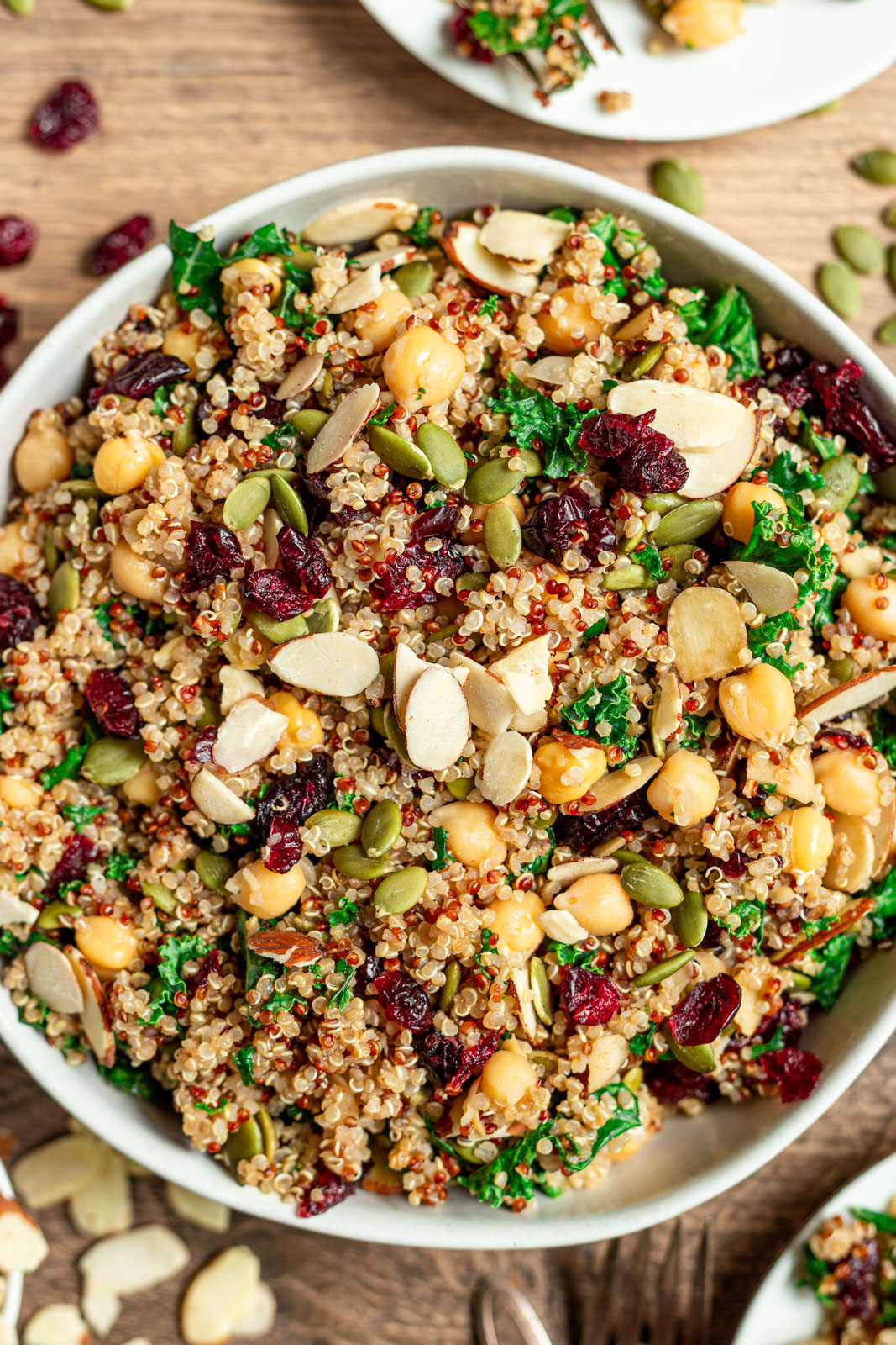 Quinoa Chickpea Salad with Cranberries